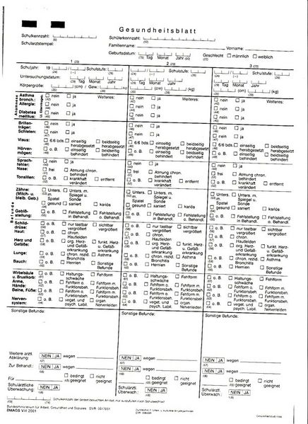 Datei:Gesundheitsblatt schülerInnen.jpg